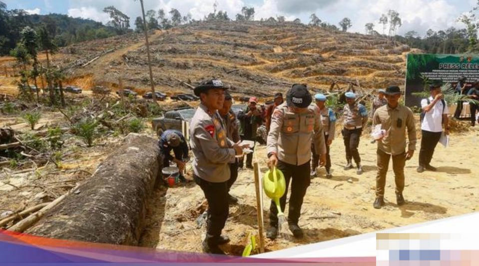 Polda Riau Tanam Ulang Hutan Lindung yang Dirusak Perambah